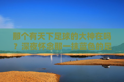 那个有天下足球的大神在吗?深夜怀念那一抹蓝色的足球情结
