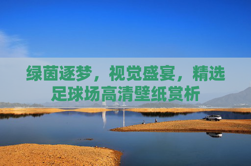 绿茵逐梦,视觉盛宴,精选足球场高清壁纸赏析