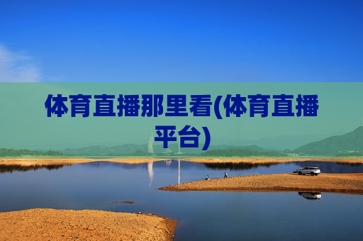 体育直播那里看(体育直播平台)