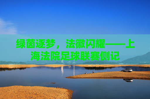 绿茵逐梦，法徽闪耀——上海法院足球联赛侧记