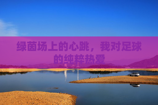 绿茵场上的心跳，我对足球的纯粹热爱