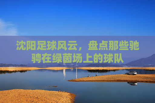 沈阳足球风云，盘点那些驰骋在绿茵场上的球队