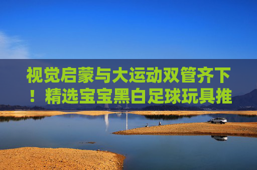 视觉启蒙与大运动双管齐下！精选宝宝黑白足球玩具推荐，助宝宝快乐成长