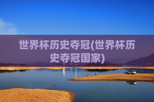 世界杯历史夺冠(世界杯历史夺冠国家)