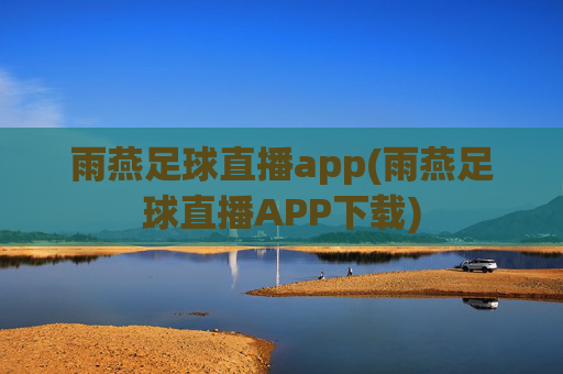 雨燕足球直播app(雨燕足球直播APP下载)