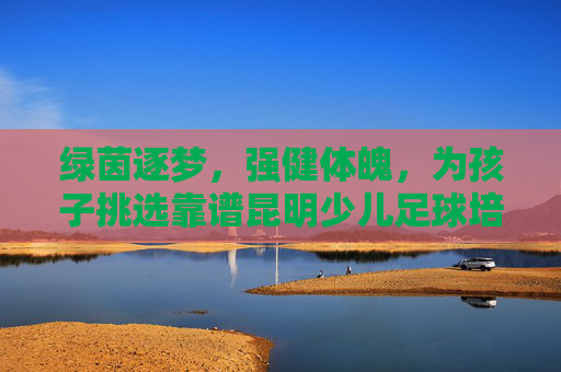 绿茵逐梦，强健体魄，为孩子挑选靠谱昆明少儿足球培训机构的全方位指南
