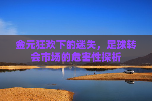 金元狂欢下的迷失，足球转会市场的危害性探析