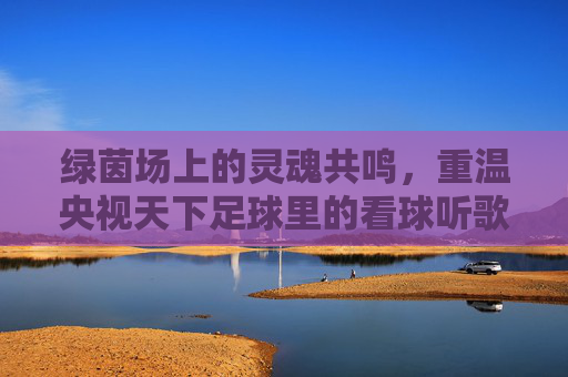 绿茵场上的灵魂共鸣，重温央视天下足球里的看球听歌时光