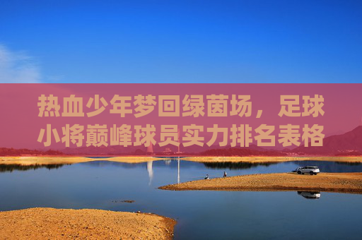 热血少年梦回绿茵场,足球小将巅峰球员实力排名表格深度解析