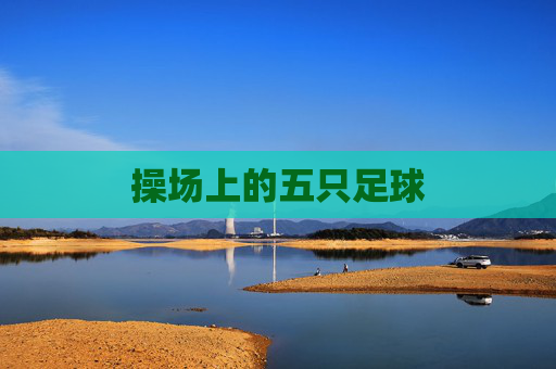操场上的五只足球