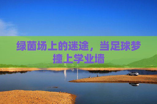 绿茵场上的迷途,当足球梦撞上学业墙