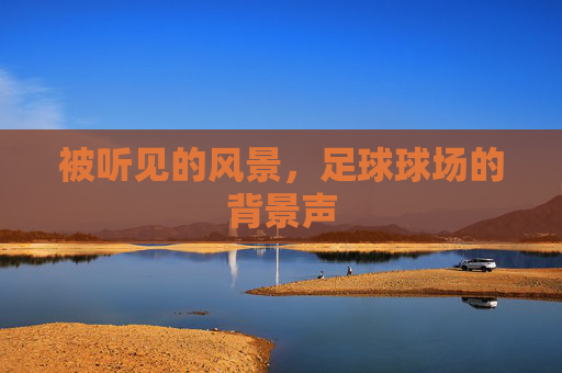 被听见的风景,足球球场的背景声