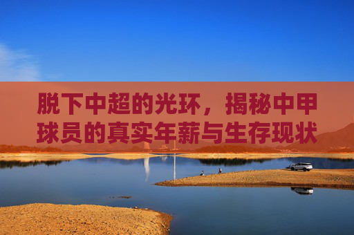 脱下中超的光环,揭秘中甲球员的真实年薪与生存现状