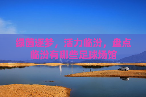 绿茵逐梦，活力临汾，盘点临汾有哪些足球场馆
