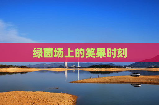 绿茵场上的笑果时刻