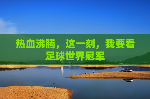 热血沸腾，这一刻，我要看足球世界冠军