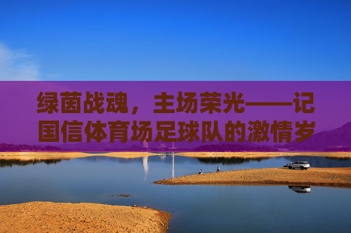 绿茵战魂,主场荣光——记国信体育场足球队的激情岁月