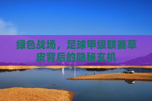 绿色战场，足球甲级联赛草皮背后的隐秘玄机