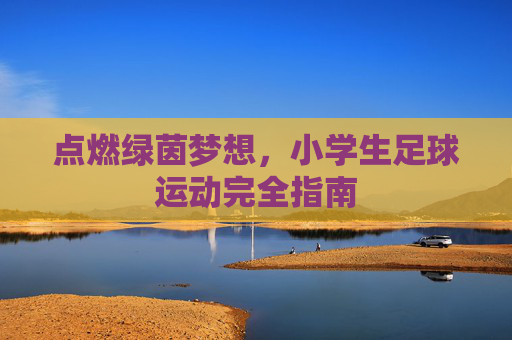 点燃绿茵梦想，小学生足球运动完全指南