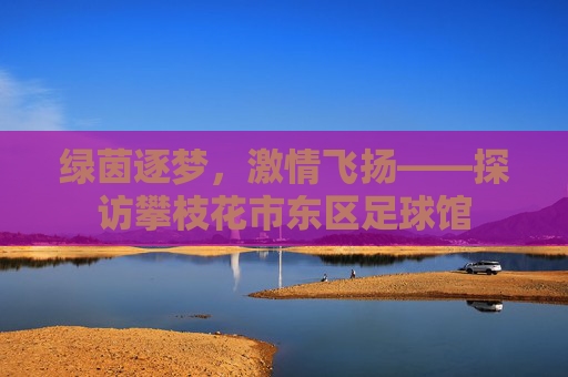 绿茵逐梦,激情飞扬——探访攀枝花市东区足球馆