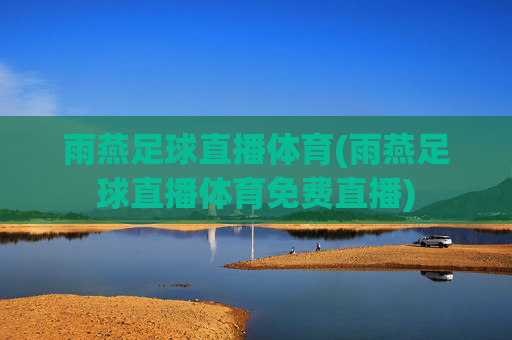 雨燕足球直播体育(雨燕足球直播体育免费直播)