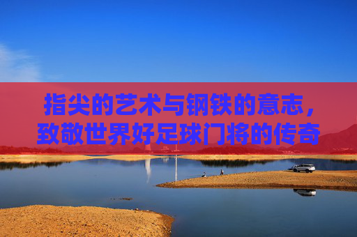 指尖的艺术与钢铁的意志，致敬世界好足球门将的传奇