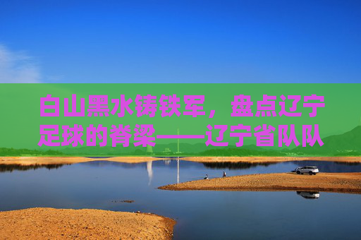 白山黑水铸铁军，盘点辽宁足球的脊梁——辽宁省队队员