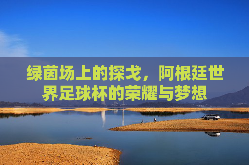 绿茵场上的探戈,阿根廷世界足球杯的荣耀与梦想