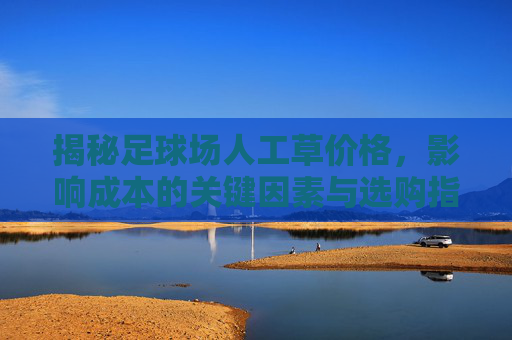 揭秘足球场人工草价格，影响成本的关键因素与选购指南