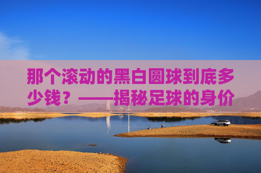 那个滚动的黑白圆球到底多少钱？——揭秘足球的身价