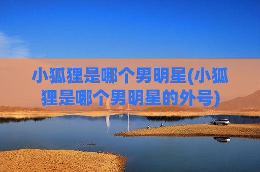 小狐狸是哪个男明星(小狐狸是哪个男明星的外号)