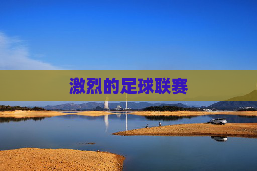 激烈的足球联赛