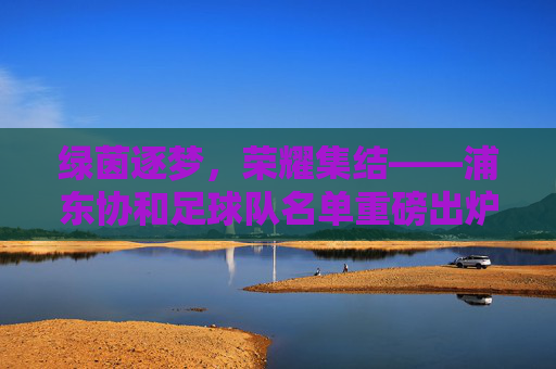 绿茵逐梦，荣耀集结——浦东协和足球队名单重磅出炉