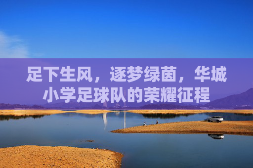 足下生风，逐梦绿茵，华城小学足球队的荣耀征程