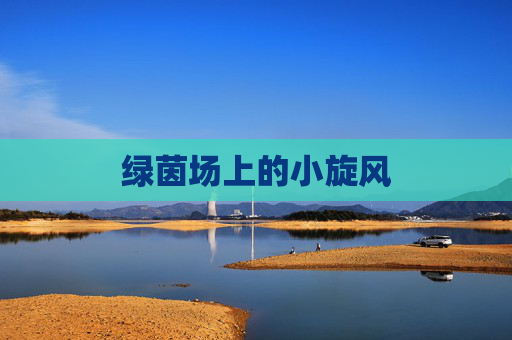 绿茵场上的小旋风