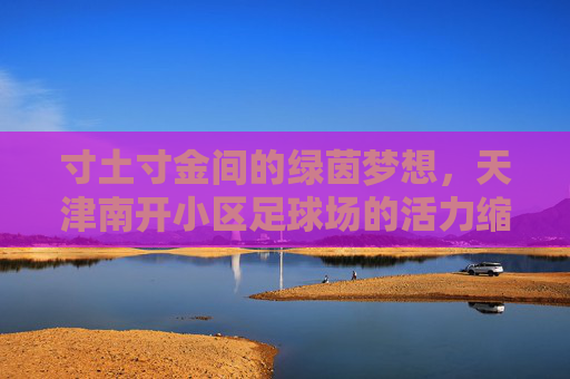 寸土寸金间的绿茵梦想,天津南开小区足球场的活力缩影