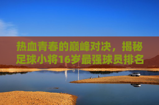 热血青春的巅峰对决，揭秘足球小将16岁最强球员排名表