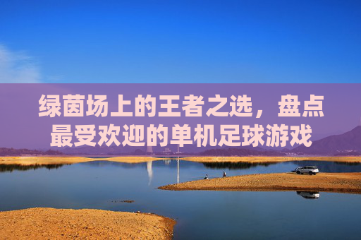 绿茵场上的王者之选，盘点最受欢迎的单机足球游戏