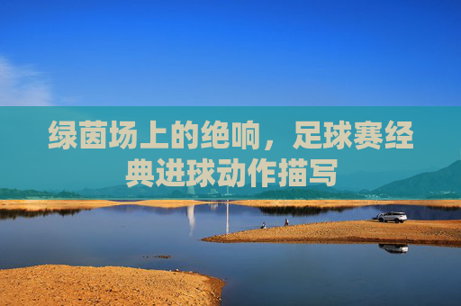 绿茵场上的绝响,足球赛经典进球动作描写