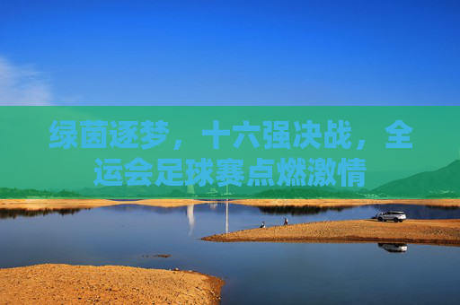 绿茵逐梦，十六强决战，全运会足球赛点燃激情