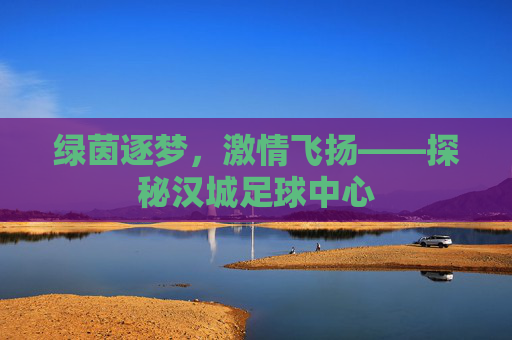 绿茵逐梦，激情飞扬——探秘汉城足球中心