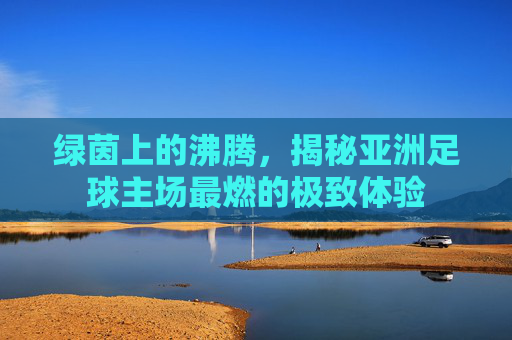 绿茵上的沸腾,揭秘亚洲足球主场最燃的极致体验
