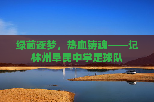 绿茵逐梦，热血铸魂——记林州阜民中学足球队