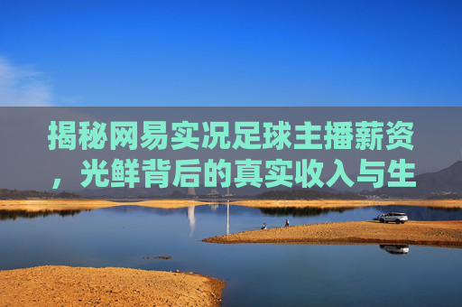 揭秘网易实况足球主播薪资,光鲜背后的真实收入与生存现状