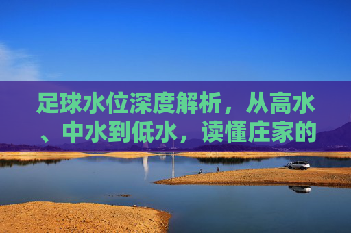 足球水位深度解析,从高水、中水到低水,读懂庄家的心理战