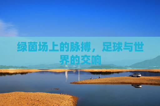 绿茵场上的脉搏,足球与世界的交响