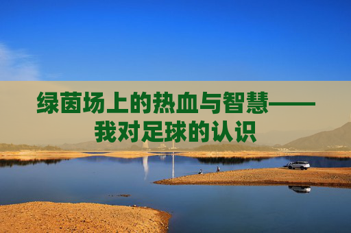 绿茵场上的热血与智慧——我对足球的认识