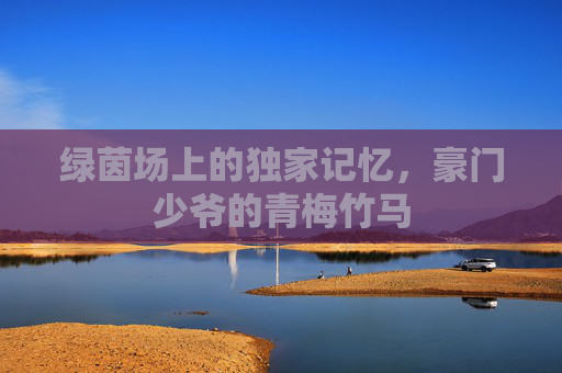 绿茵场上的独家记忆,豪门少爷的青梅竹马