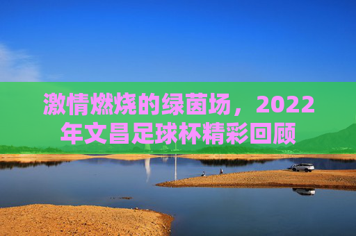 激情燃烧的绿茵场，2022年文昌足球杯精彩回顾