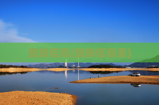 蜘蛛信息(蜘蛛信息素)